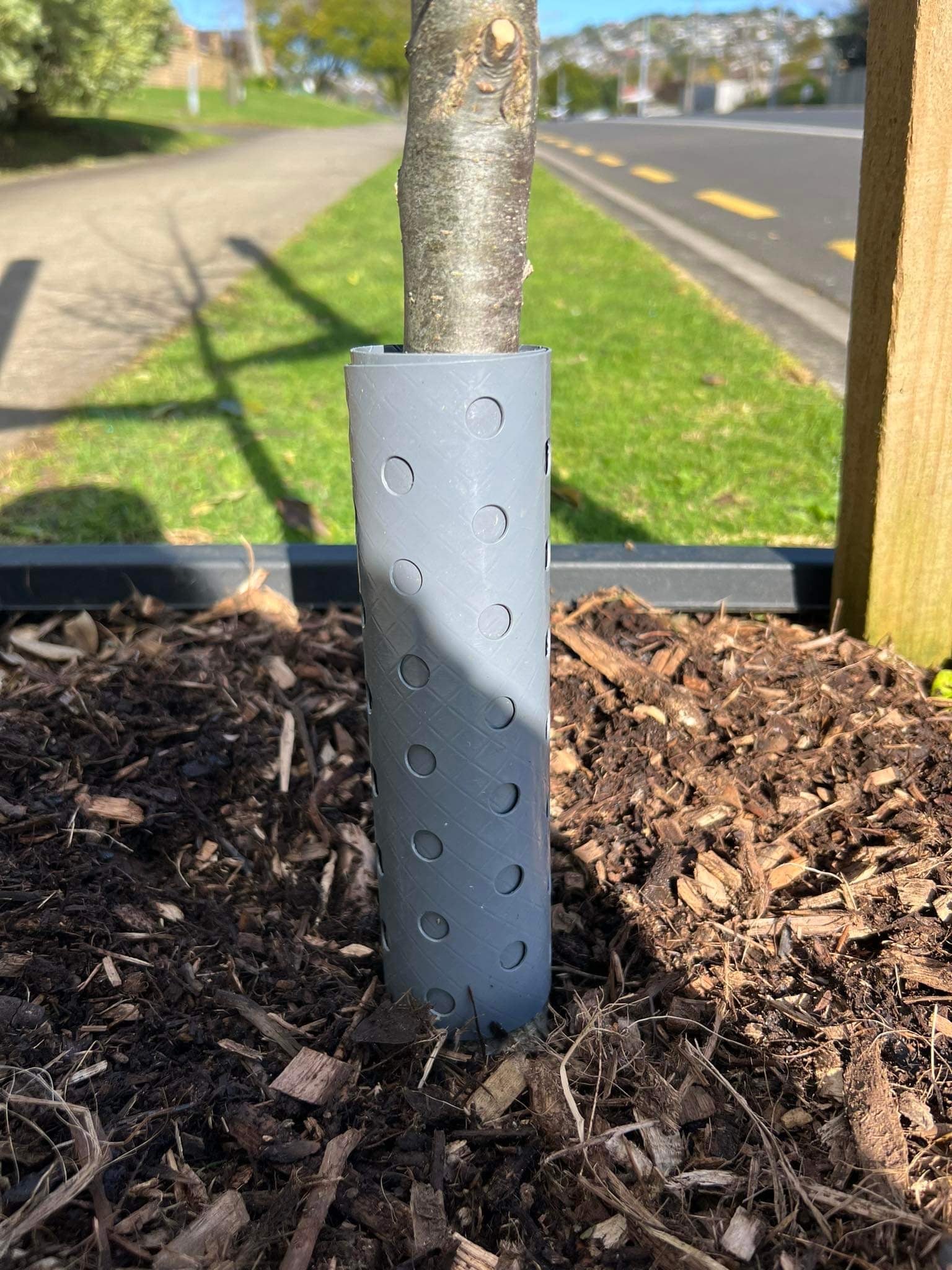 Edgemasta Self Coiling Trunk Guard